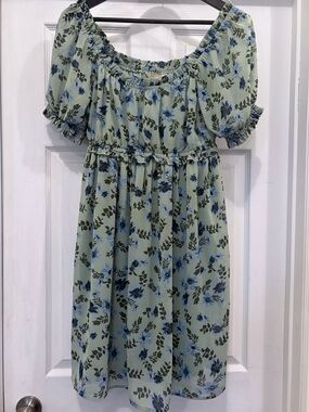 Beyond Words Puff-Sleeve/off shoulder Dress